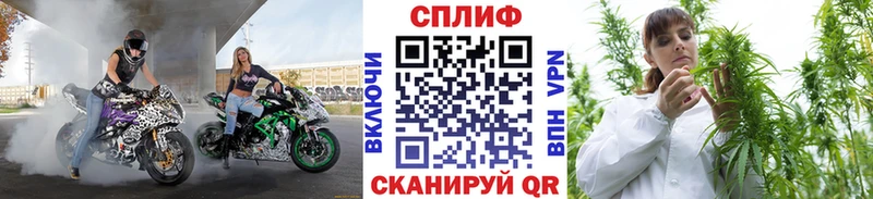 Наркотические вещества Дмитровск Alpha PVP  Псилоцибиновые грибы  COCAIN  Конопля 