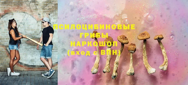 ешки Абаза